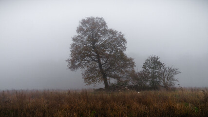 November mood - Novemberstimmung