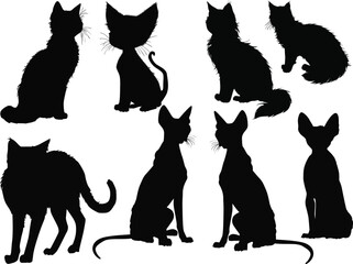 eight small black cats and kittens on white
