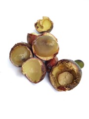 Exotic fruit from Papua, Indonesia called by Matoa fruit on a white background