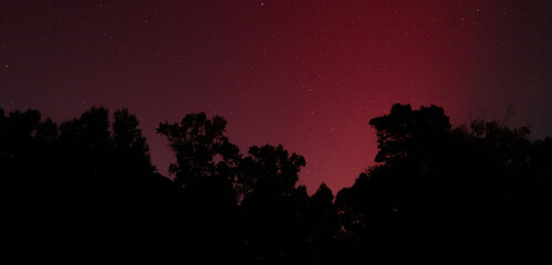 Fototapeta premium Glowing norther lights and stars silhouetting a forest