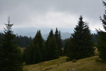 
Mountain views. The nature of the mountains