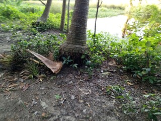 beautiful view of the lake.