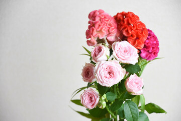 薔薇とケイトウ