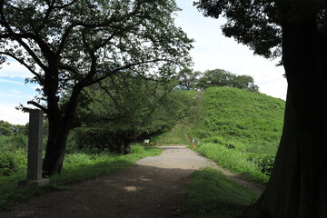 さきたま古墳公園
