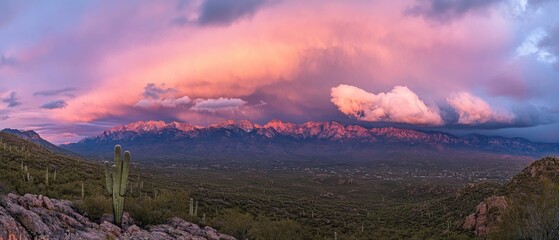 A Desert Mountain Range Bathed in Pink Sunset Hues