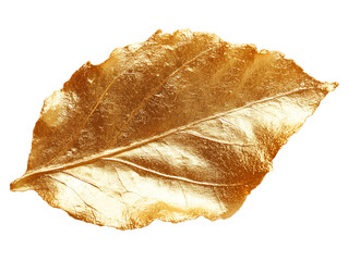A stunning golden leaf showcasing intricate details and a shiny surface. Isolated on transparent white background, png	
