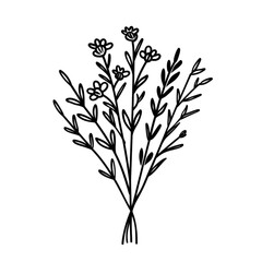 Fototapeta premium Flower Bouquet PNG Meadow Flower Transparent PNG