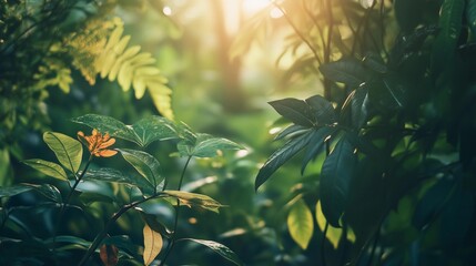 A photograph of lush, green leaves in the foreground, with sunlight filtering through them and creating soft shadows on an out-of-focus background. The focus is sharp on one leaf at eye level
