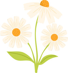Fototapeta premium Handdrawn daisy flower illustration