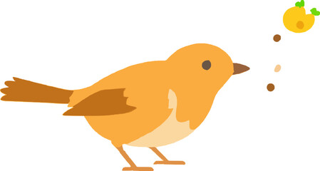 Feathered Flying Animal Meadow Insect