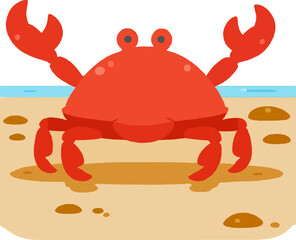 Beach Kayak Indian Aroma Destination