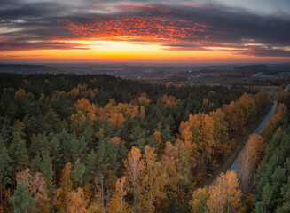 Beautiful sunset over the autumnal forest in Rotmanka, Poland