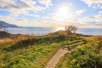Naklejka premium 秋風が運ぶ神威岬【北海道】