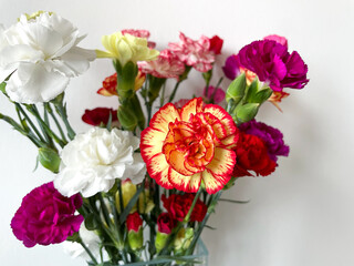 Beautiful carnation flowers bouquet with pink, red, white and yellow carnations isolated on white close up, floral wallpaper background with 
multicoloured carnations