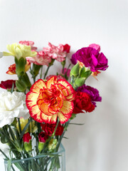 Beautiful carnation flowers bouquet with pink, red, white and yellow carnations isolated on white close up, floral wallpaper background with 
multicoloured carnations