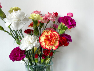 Beautiful carnation flowers bouquet with pink, red, white and yellow carnations isolated on white close up, floral wallpaper background with 
multicoloured carnations