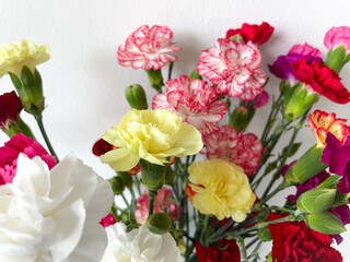 Beautiful carnation flowers bouquet with pink, red, white and yellow carnations isolated on white close up, floral wallpaper background with 
multicoloured carnations