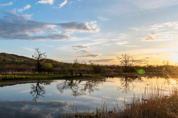 Wild landscape. Lake with dense forest on the shore during sunset. Feeling of calm, happiness,...