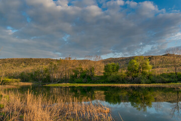 Wild landscape. Lake with dense forest on the shore during sunset. Feeling of calm, happiness,...