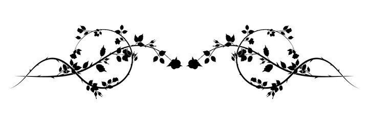 long pattern roses weaving plant element. vector