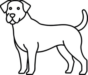 dog on white background