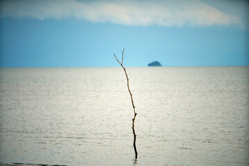 Serene Waterscape with a Lone Stick Rising from the Calm Surface, a Remote Island on the Horizon Under a Cloudy Sky at Dusk, Reflective and Tranquil Atmosphere