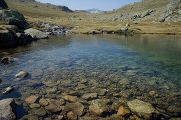Serene Mountain Landscape with Crystal Clear Water and Rocky Shoreline Surrounded by Lush Green Grass and Majestic Peaks Under a Bright Blue Sky