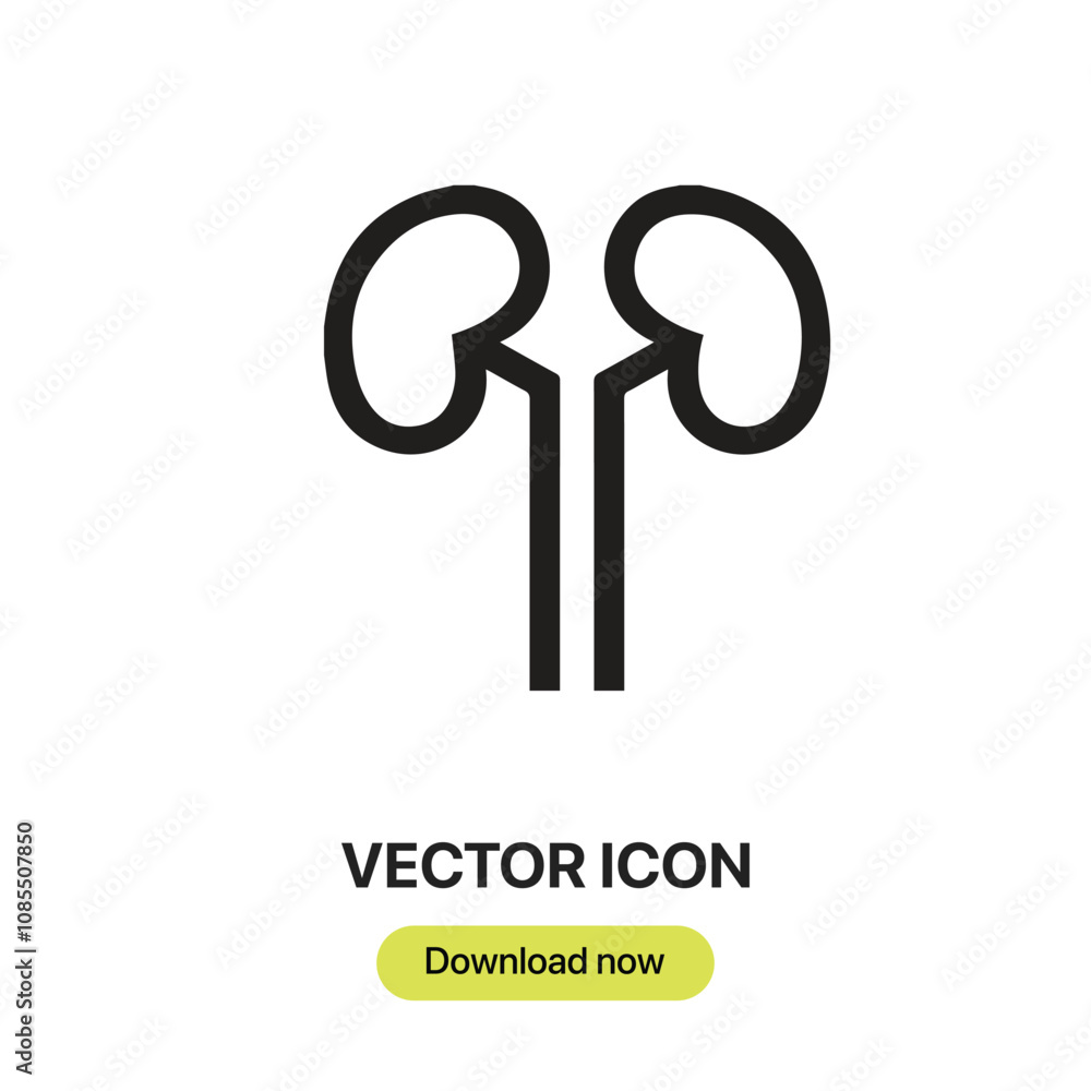 Aufkleber kidneys icon vector. linear-style sign for mobile concept and web design. kidneys symbol illustratio