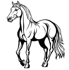 Obraz premium horse isolated on white background, Black and white illustration of horse