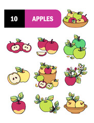 Set of apples illustration, harvest apple with leaf isolated on white background, fresh fruit, apple tree branch