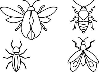 collection of insects