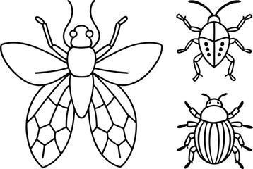 set of insects