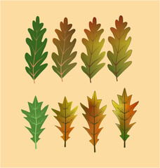 isolated autumn leaves in high quality SVG for making banners, cards and announcements