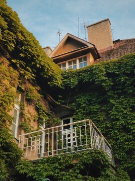 Vintage villa on Prague&rsquo;s Vinohrady &ndash; charming facade with ivy-covered walls and rustic balcony, capturing old-world elegance