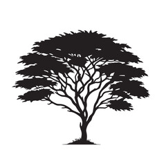 Obraz premium African acacia tree silhouette vector design black and white. Acacia tree logo, icon.