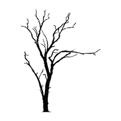 Tree silhouette Illustration with white background vol 02