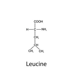 Chemical formula of leucine. Essential amino acids. Organic chemistry. Vector.