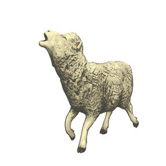 Sheep vector animal ilustration isolated design 