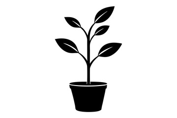 Plant vector Icon Illustration black color. Sprout plant growth icon
