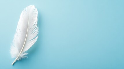 Obraz premium white feather on a blue background