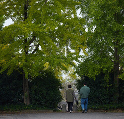 秋の公園で散歩する若い夫婦の姿