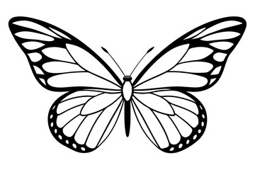 Monarch Wings line art white background