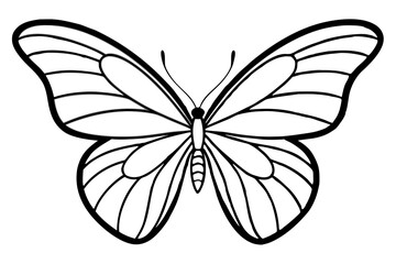 Monarch Wings line art white background