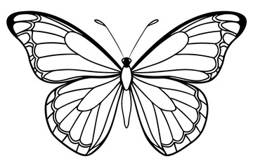 Monarch Wings line art white background
