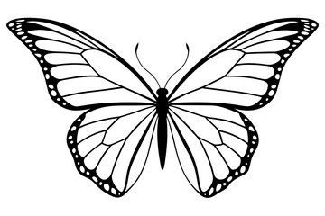 Monarch Wings line art white background