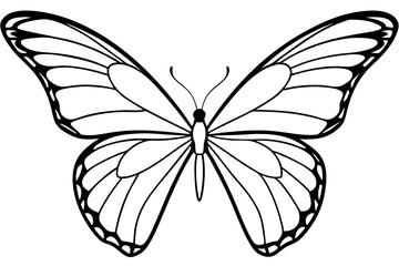 Monarch Wings line art white background