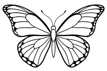 Monarch Wings line art white background