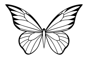 Monarch Wings line art white background