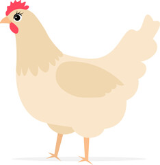 Farm Animals. Cute farm. Cute chicken walking on white background. Collection of farm animals. Baby flat vector illustration.