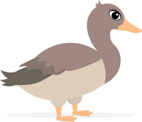 Farm Animals. Cute farm. Gray duck on a white background. Collection of farm animals. Baby flat vector illustration.